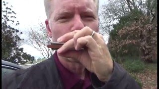 Gussows Classic Blues Harmonica Videos trailer [upl. by Goodill365]