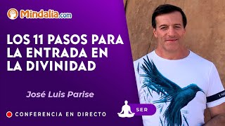 Los 11 pasos para la entrada en la Divinidad con José Luis Parise [upl. by Mckeon339]