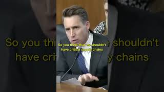 Sen Hawley BLASTS This Director For Shutting Down Mines In The United States DESTROYING Our Supply [upl. by Christoph]