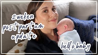 IK BEN BEVALLEN 💙 2 WEKEN POSTPARTUM UPDATE [upl. by Odlanier]