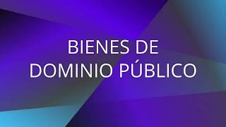 BIENES DE DOMINIO PÚBLICO  VOCABULARIO JURÍDICO Y JUDICIAL  CONTACTO ABOGADO [upl. by Notsae351]