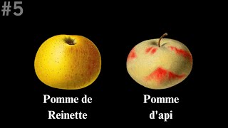 Contine 5 Pomme de reinette et pomme dapi [upl. by Aihsiyt]