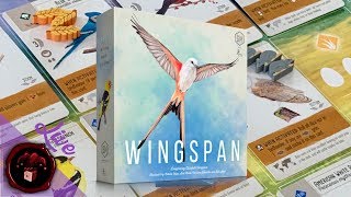 Rediff LIVE Wingspan la partie solo [upl. by Ative763]