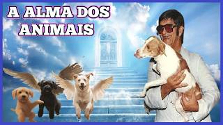 A Missão Espiritual dos Cachorros por Chico Xavier [upl. by Eizle60]