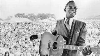 Lightnin Hopkins sings quotGreen Onionsquot [upl. by Llirpa]