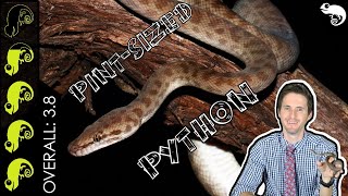 Childrens Python The Best Pet Snake [upl. by Ettenaej725]