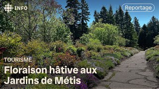 Début de saison fleuri pour les Jardins de Métis [upl. by Hubing721]