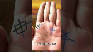 🔥測一測你是哪一種手型 🤚☯看看是不是跟你一樣的手紋，palmistry 手相 [upl. by Koval]