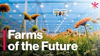 The Futuristic Farms That Will Feed the World  Freethink  Future of Food [upl. by Tullusus638]