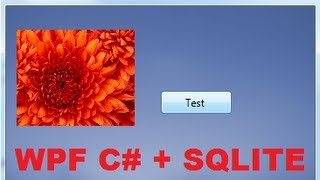 C WPF Tutorial 3 SQLite database connection with WPF C PART 12 [upl. by Olegnad]