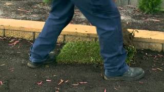 How To Lay Instant Turf  DIY At Bunnings [upl. by Benn]