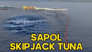 SAPOL SKIPJACK TUNA [upl. by Rabush186]