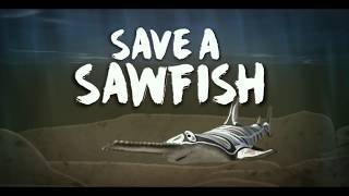 Save a Sawfish English Dan Hartney [upl. by Gavan]