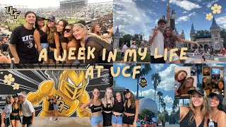 Week In My Life at UCF [upl. by Adnir]