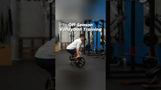 Online Volleyball Strength and Skill OffSeason Training Plus Full Season Training [upl. by Urana276]