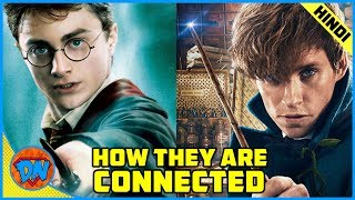 How Harry Potter and Fantastic Beasts Movies are Connected  Explained in Hindi [upl. by Badger]