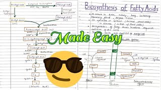 Biosynthesis of Fatty Acids  Notes 📝😎 Made Easy🔥 [upl. by Xad]