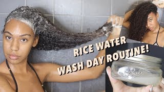 Rice Water Wash Day Routine Detailed for Balance and Fast Hair Growth  Natural Hair [upl. by Eidnar574]