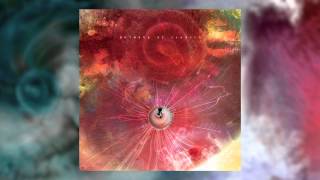 ANIMALS AS LEADERS  Nephele [upl. by Michell]