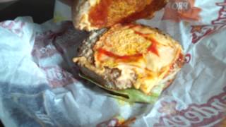 Food Review Turkey Burger and Double Cheesburger from Hardees Crewe VA [upl. by Annig]