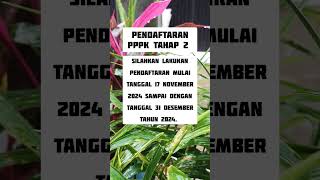 PENDAFTARAN PPPK TAHAP 2pppk2024 [upl. by Nestor689]