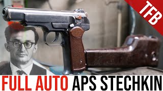 The APS Stechkin Machine Pistol [upl. by Pippy]