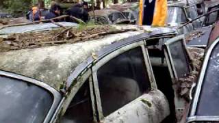 1957 Belvedere 4dr sedan on the Swiss Junkyard in Kaufdorf 22 [upl. by Manton492]