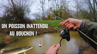 JE NE MATTENDAIS PAS A PRENDRE CE POISSON EN PÊCHANT AU BOUCHON [upl. by Sebastiano]