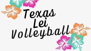 Texas Lei Volleyball Mod BB Top 12  Ratatouille Enjoyers Vs Arkansas 20 [upl. by Chavaree]