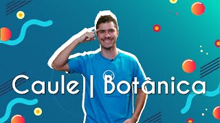 Caule  Botânica  Brasil Escola [upl. by Inalan]