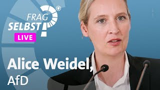 Eure Fragen an AfDChefin Alice Weidel  Frag selbst 2023 [upl. by Elita]