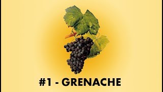 Cépage Sorcier 1  Le Grenache Noir  English Sub [upl. by Nogem]