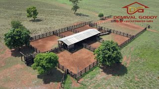 R 1855000000 FAZENDA ESPETACULAR DE 371 HECT A 5 KM DE NIOAQUE MS EM CAMPO GRANDE MS BRASIL [upl. by Ittocs]