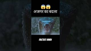 अजगर ने लिया बदला ytshorts explain [upl. by Ingmar]