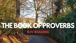 The Book of Proverbs  King James Version [upl. by Ri818]