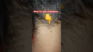 how to use shampoo [upl. by Pasol]