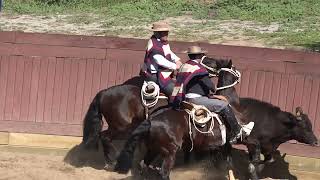 rodeo criadores segunda serie segundo animal 24 08 2024 [upl. by Nottap]