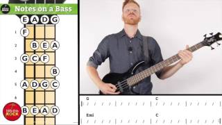 Bass Lesson Finding Notes on the Fretboard [upl. by Lena]