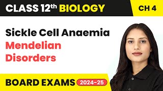 Sickle Cell Anaemia  Mendelian Disorders  Class 12 Biology Chapter 4  CBSE 202425 [upl. by Rotce]