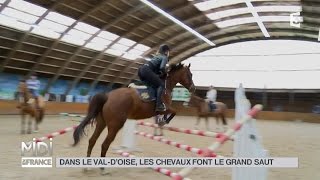 ANIMAUX  Dans le Val dOise les chevaux font le grand saut [upl. by Chasse]