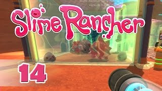 Slime Rancher  14  Още кръстоски [upl. by Ailaroc]