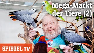 MegaMarkt der Tiere 2 Besuch beim Vogelzüchter  SPIEGEL TV [upl. by Joane]