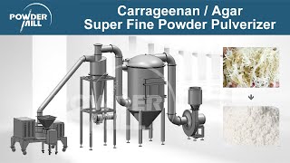 Carrageenan  Agar  Seaweed Stainless Steel Super Fine Powder Pulverizer Machine  Mill Powder [upl. by Aelat773]