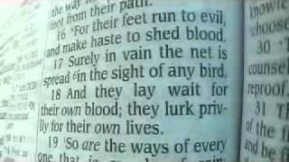 Proverbs 1 King James Holy Bible [upl. by Etnecniv825]