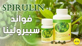 سبيرولينا DXN  فوائد سبيرولينا دكسن spirulina DXN [upl. by Cence]