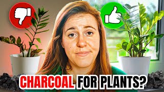 USING CHARCOAL IN POTTING SOIL BENEFITS amp DOWNFALLS OF CHARCOAL amp PLANTS  Gardening in Canada 🎍 [upl. by Naleek]