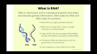 Week1 NPTEL TA Session on Introduction to RNA Biology and RNA World [upl. by Arehahs72]