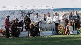 Dog show VENTSPILS KAUSS 2024 [upl. by Janith]