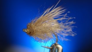 Emergent Sparkle Pupa  Fly tying lesson video tutorial by Curtis Fry [upl. by Aerdnek]