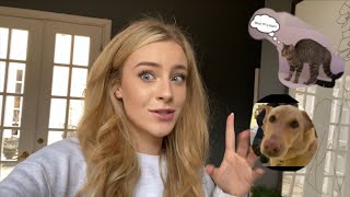 VLOGMAS DAY 6 Dog meets cat [upl. by Aciram]